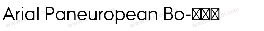Arial Paneuropean Bo字体转换